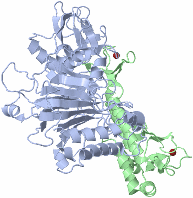 Image Biological Unit 1