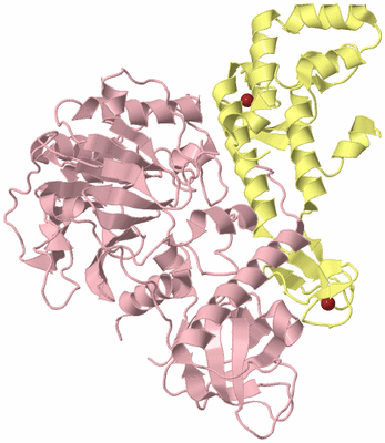 Image Biological Unit 2