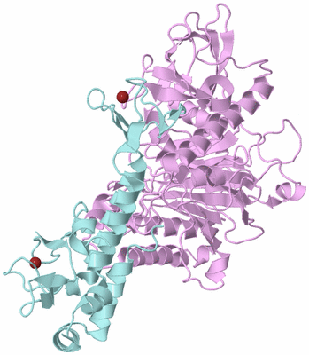 Image Biological Unit 3