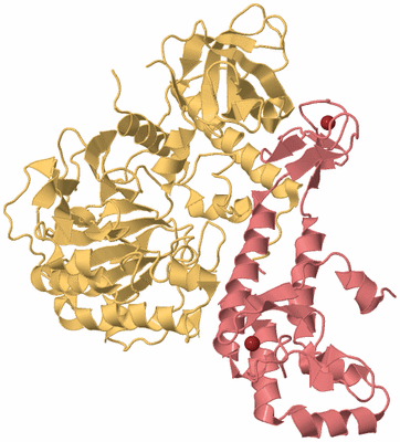 Image Biological Unit 4