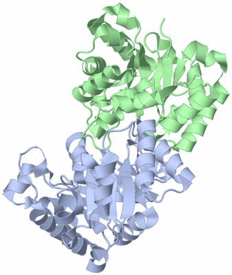 Image Biological Unit 1