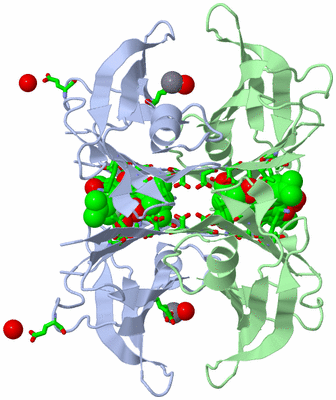 Image Biol. Unit 1 - sites