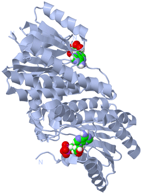 Image Biological Unit 1