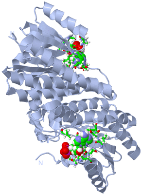 Image Biol. Unit 1 - sites