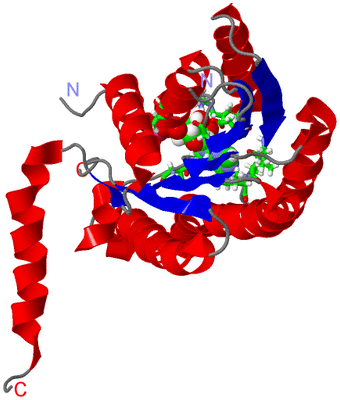 Image Asym. Unit - sites