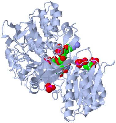 Image Biological Unit 1