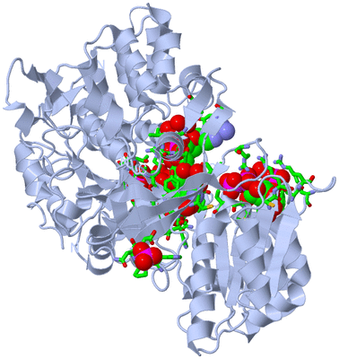 Image Biol. Unit 1 - sites