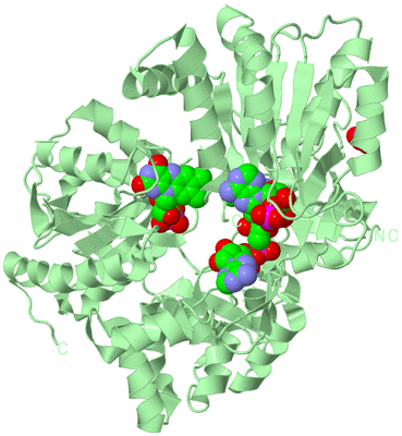 Image Biological Unit 2