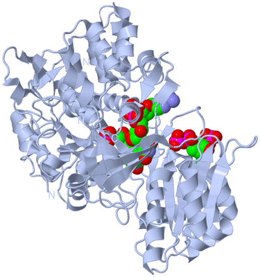 Image Biological Unit 1