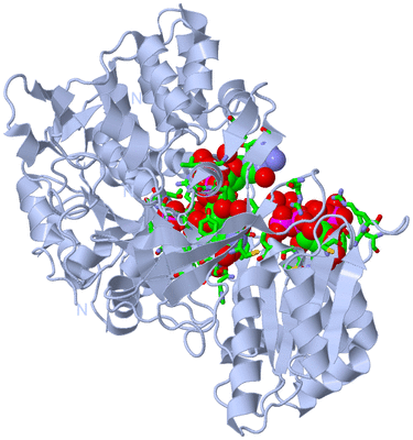 Image Biol. Unit 1 - sites