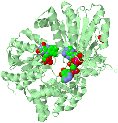 Image Biological Unit 2