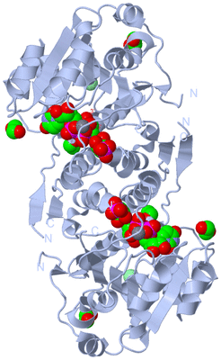 Image Biological Unit 1