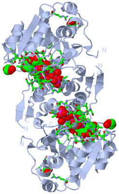 Image Biol. Unit 1 - sites