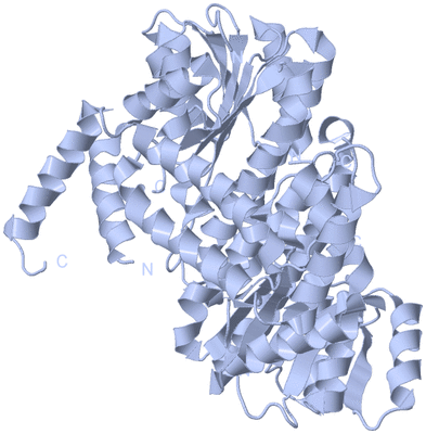 Image Biological Unit 1