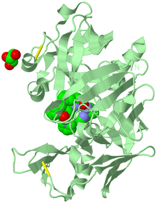 Image Biological Unit 2