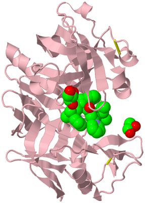 Image Biological Unit 3