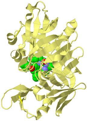 Image Biological Unit 4