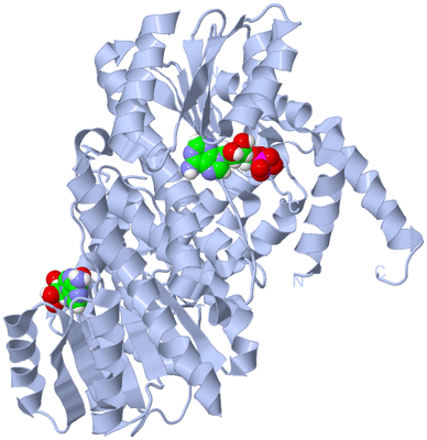 Image Biological Unit 1