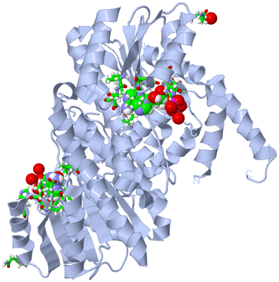 Image Biol. Unit 1 - sites