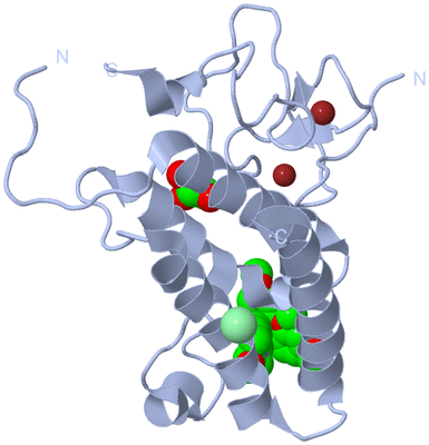 Image Biological Unit 1