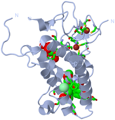 Image Biol. Unit 1 - sites