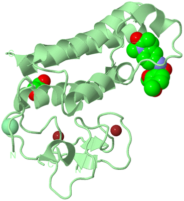 Image Biological Unit 2