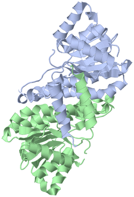 Image Asym./Biol. Unit