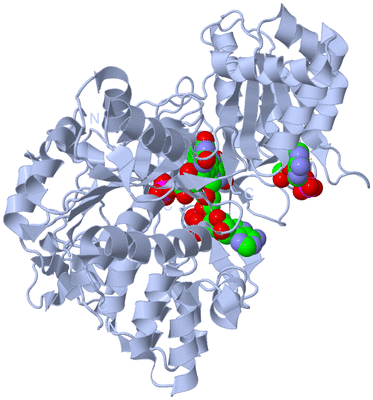 Image Biological Unit 1