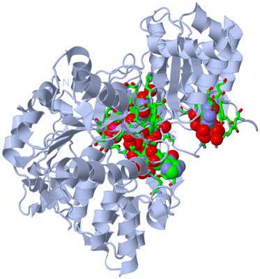 Image Biol. Unit 1 - sites