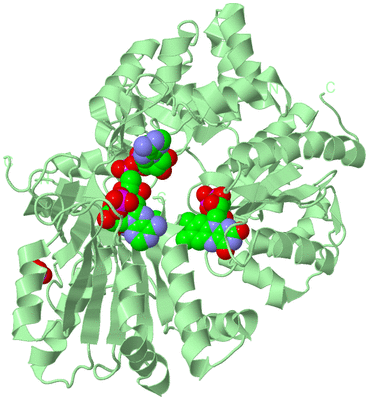 Image Biological Unit 2