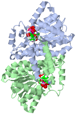 Image Asym./Biol. Unit