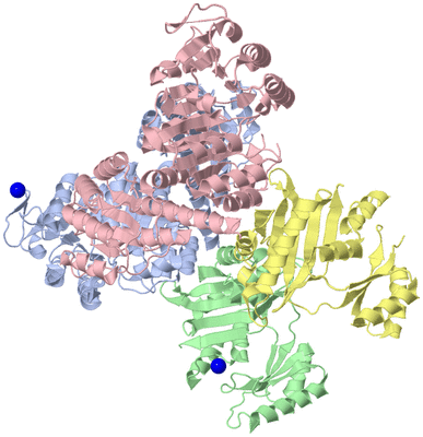 Image Asym./Biol. Unit