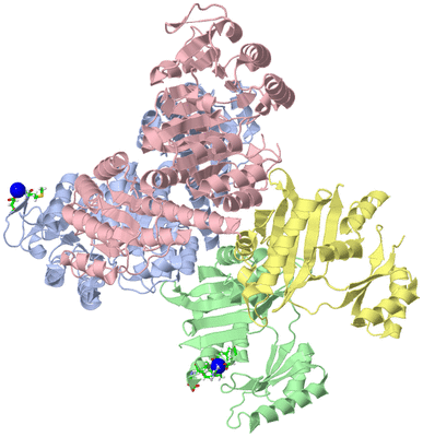 Image Asym./Biol. Unit - sites