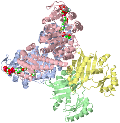 Image Asym./Biol. Unit