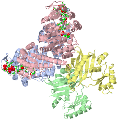 Image Asym./Biol. Unit - sites