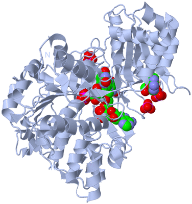 Image Biological Unit 1