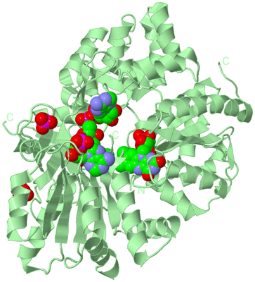 Image Biological Unit 2