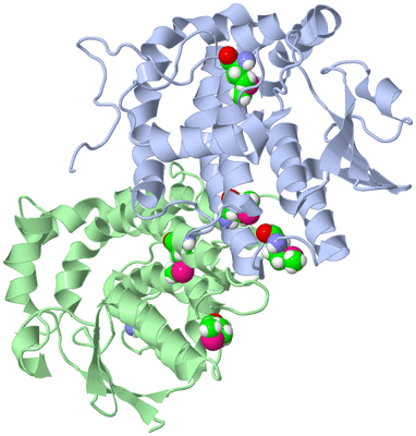 Image Biological Unit 1