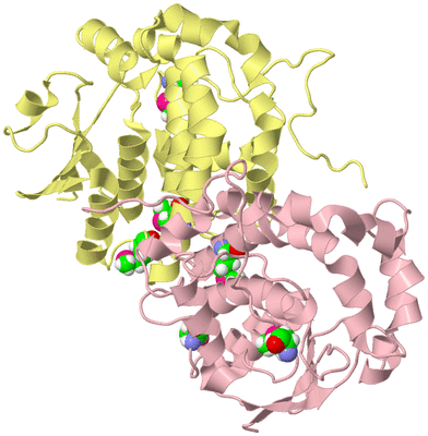 Image Biological Unit 2