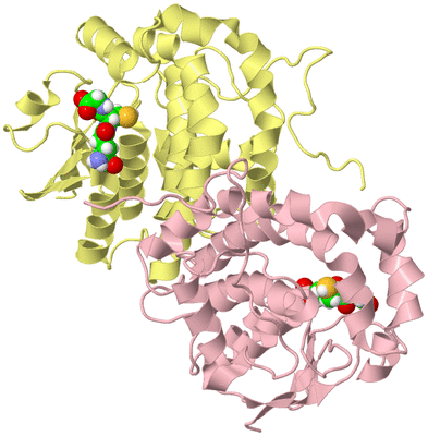 Image Biological Unit 2