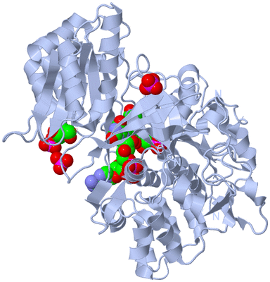 Image Biological Unit 1