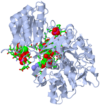 Image Biol. Unit 1 - sites