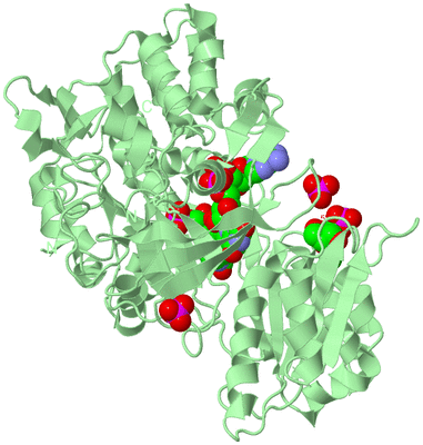 Image Biological Unit 2