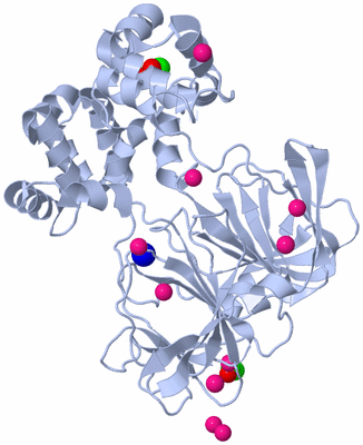 Image Biological Unit 1