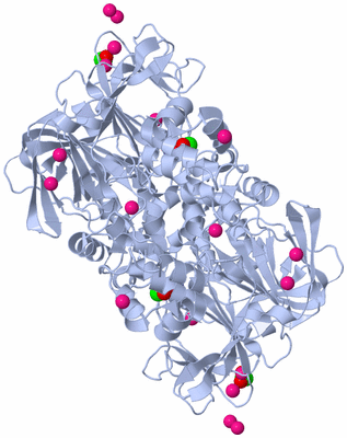 Image Biological Unit 2