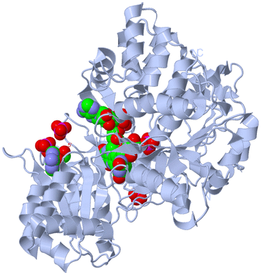 Image Biological Unit 1