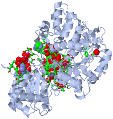 Image Biol. Unit 1 - sites