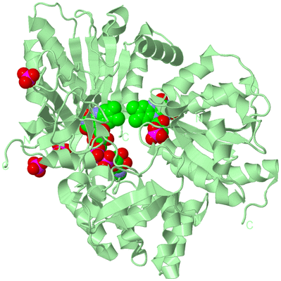 Image Biological Unit 2