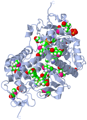 Image Biological Unit 1