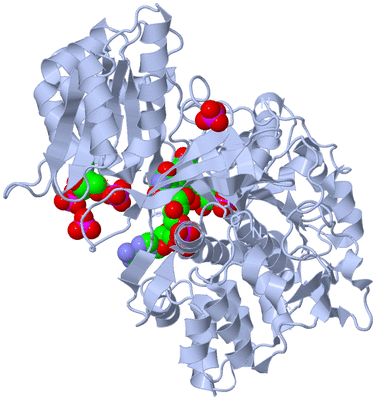 Image Biological Unit 1